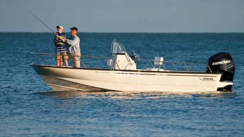 Boston whaler Montauk 190 W/150hp